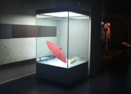 博物館獨立柜10